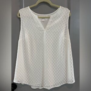 Market & Spruce NWOT Cream Textured Dot Sleeveless V-Neck Blouse